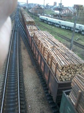 deforestation of Ukraine.jpg